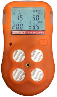 Portable Multi Gas Detector